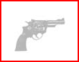 Revolver 357 Magnum