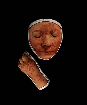 BILD: fotografi av Anders Thorn