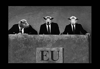 BILD: tre EU-delegater med frskallar, montage av Anders Thorn