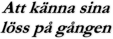 TEXTBILD: Att känna sina löss på gången
