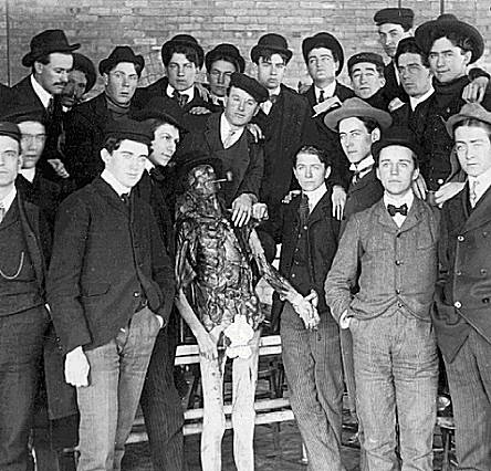 BILD: Medicine kandidater