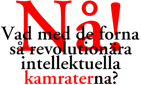 N! Vad med de forna s revolutionra intellektuella kamraterna?