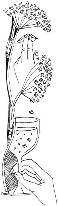 BILD: illustration av Gittan Jönsson