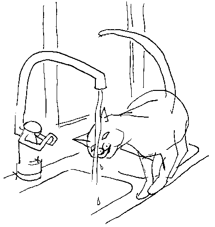 Teckning: Katt på diskbänk