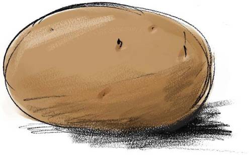 BILD: tecknad potatis