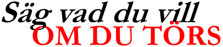 TEXTBILD: Säg vad du vill OM DU TÖRS