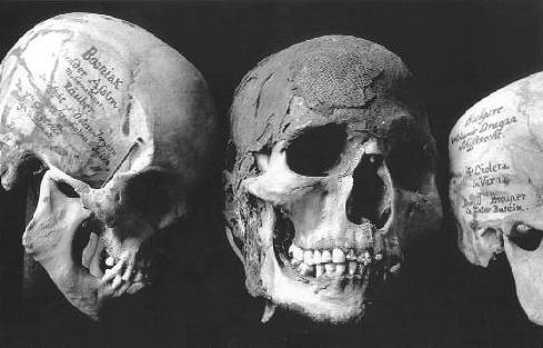 BILD: Ddskallar med text p