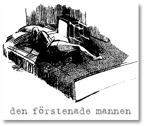 Den f�rstenade mannen