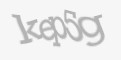Säkerhetskod