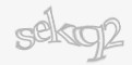Säkerhetskod