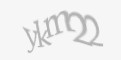 Säkerhetskod