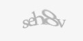 Säkerhetskod