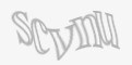 Säkerhetskod