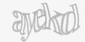 Säkerhetskod