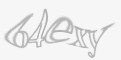 Säkerhetskod