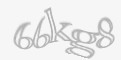 Säkerhetskod