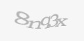 Säkerhetskod