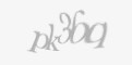 Säkerhetskod