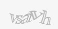 Säkerhetskod