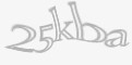 Säkerhetskod
