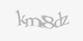 Säkerhetskod