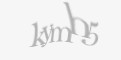 Säkerhetskod