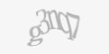 Säkerhetskod