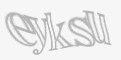 Säkerhetskod