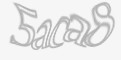 Säkerhetskod