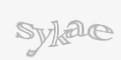 Säkerhetskod