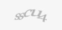 Säkerhetskod