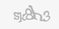 Säkerhetskod