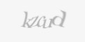 Säkerhetskod