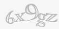 Säkerhetskod