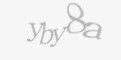 Säkerhetskod